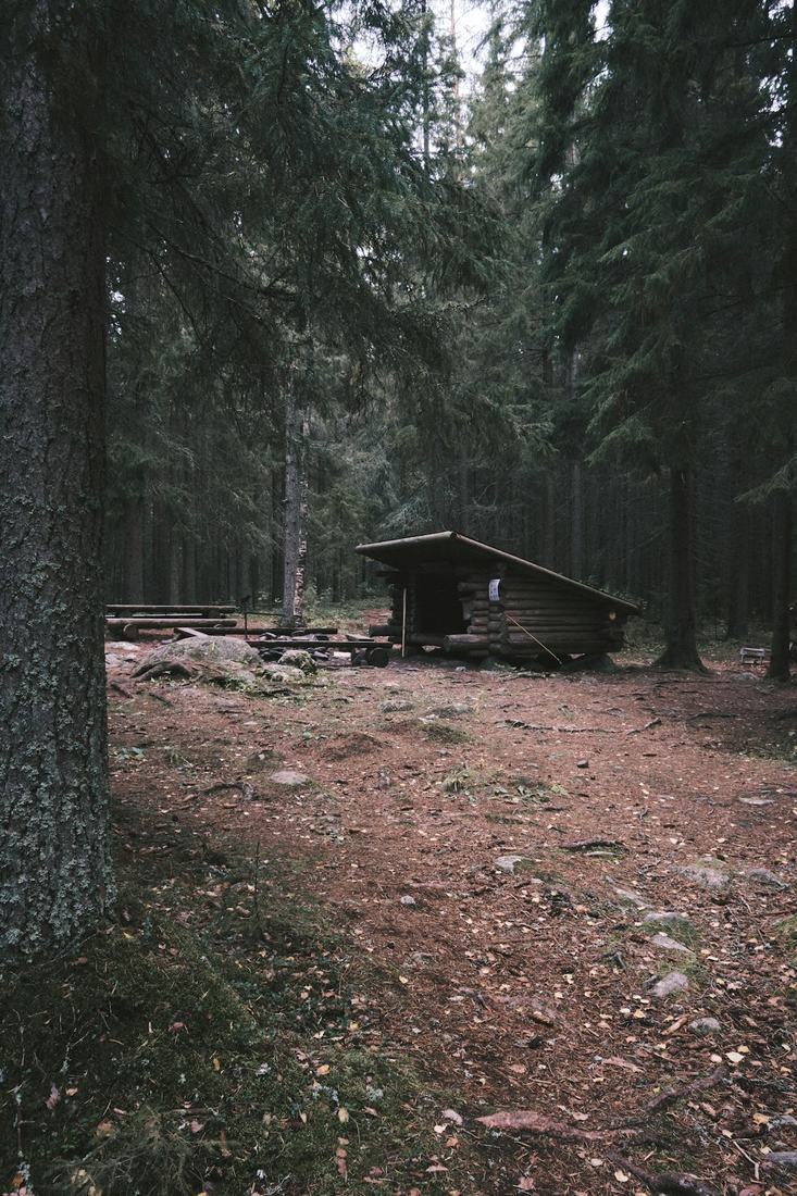 Ferienhaus im Wald